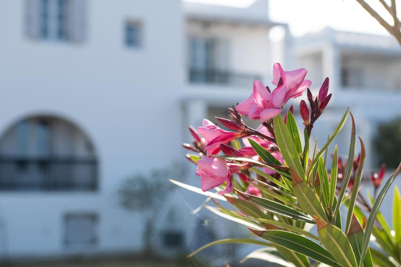 Sea Lilies Suites Pláka Eksteriør bilde